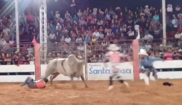 rodeio-arquivo-pessoal1