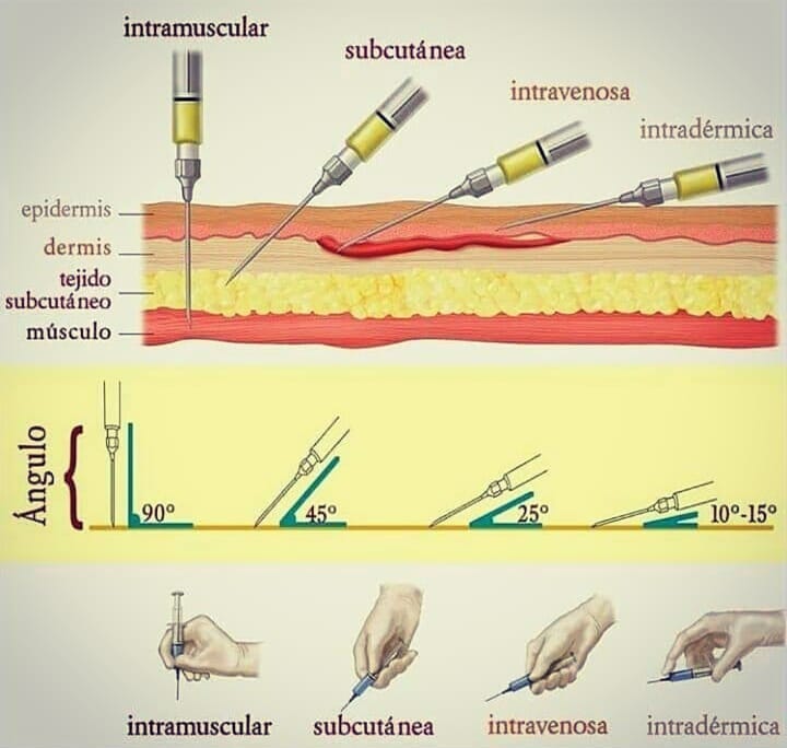 tecnica-de-aplicacao-de-mendicamentos-veterinarios