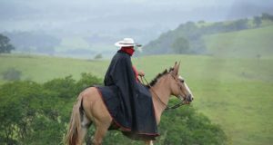 vaqueiro-na-chuva-com-mula