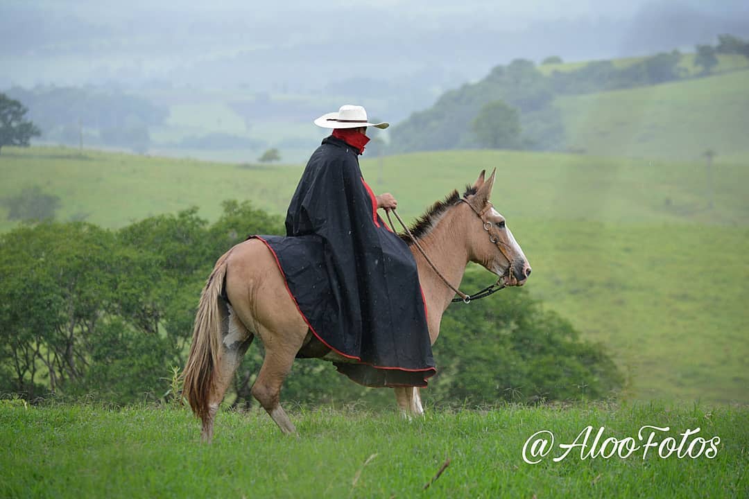 vaqueiro-na-chuva-com-mula