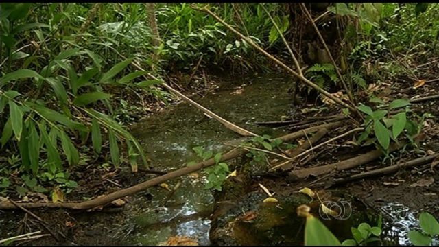 Nascente de agua