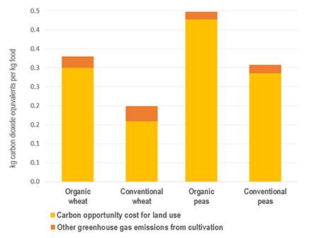 impactos da agricultura convencional e organica