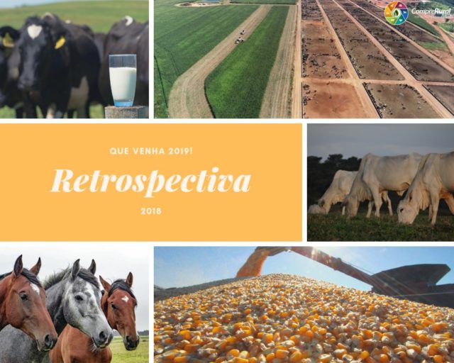 Retrospectiva-2018 Retrospectiva-2018