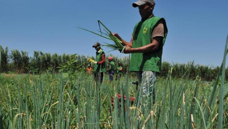 agricultura_familiar_2