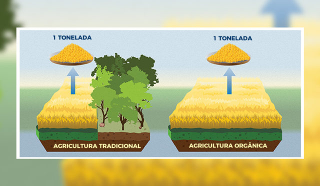 alimentos-organicos-x-convencionais1 alimentos-organicos-x-convencionais