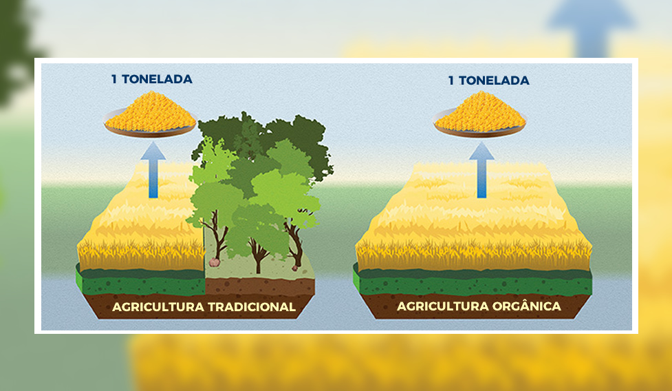 alimentos-organicos-x-convencionais