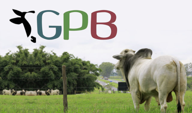 gpb-grupo-pecuaria-brasil gpb-grupo-pecuaria-brasil