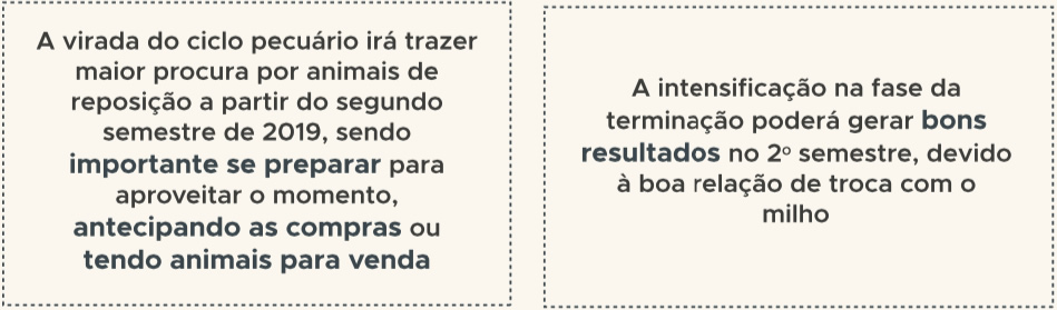 perspectivas-para-2019-da-pecuaria-de-corte