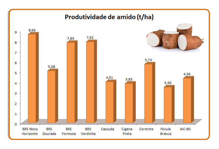 produtividade-amido-mandioca