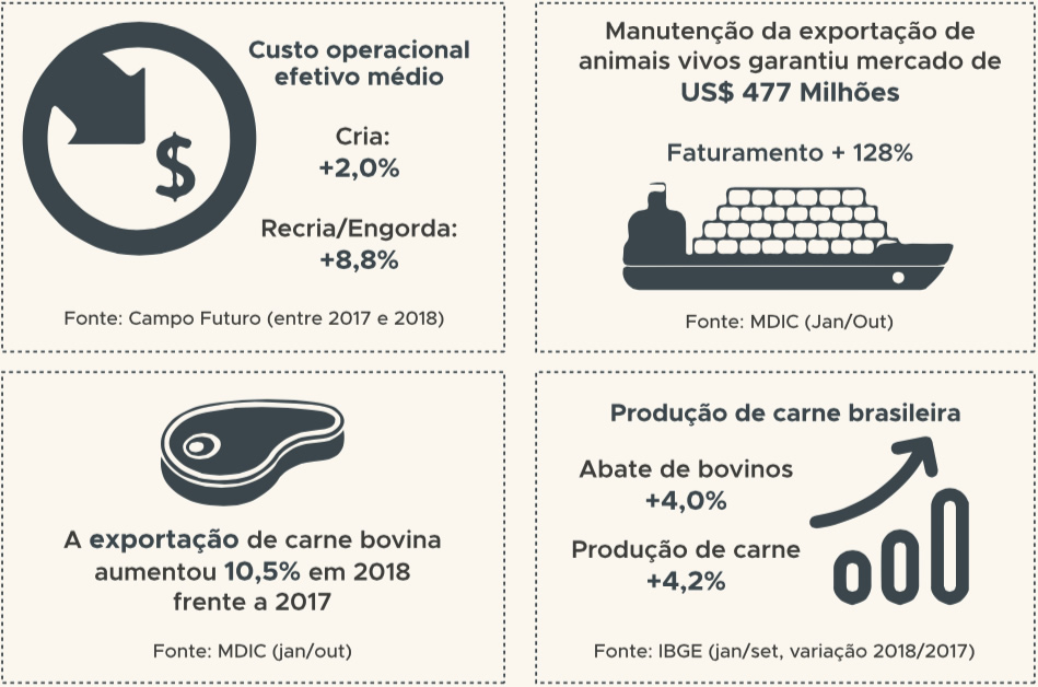 resultados-da-pecuaria-de-corte-2018