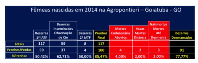 Agropontieri-de-Goiatuba-–-GO-que-iniciou-a-inseminação-das-fêmeas-aos-14-meses-em-2012