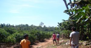 Aldeia-Lapetanha-Plantação-de-Café-e-Banana