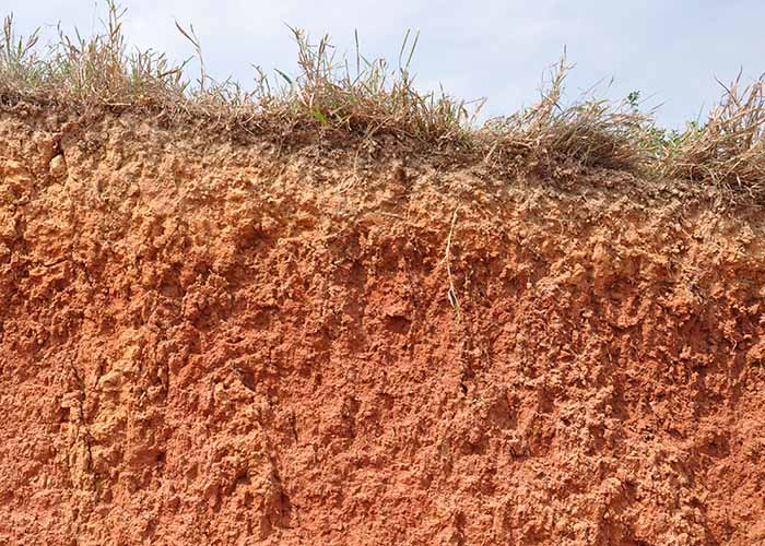 Brasil-adicionou-228-milhões-de-toneladas-de-fósforo-em-seus-solos-nos-últimos-50-anos