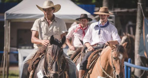 Cavalo-Crioulo-cresce-e-se-espalha-pelo-Brasil-em-2018