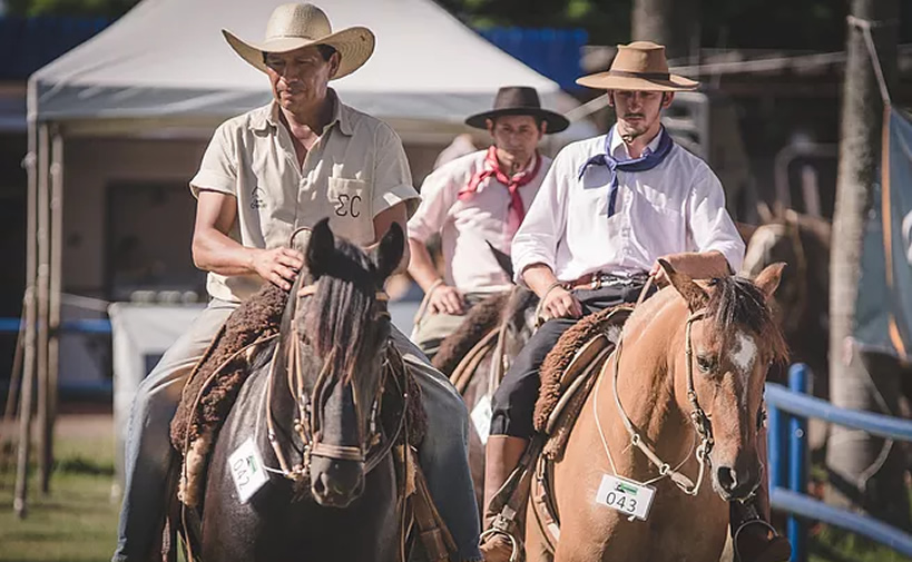 Cavalo-Crioulo-cresce-e-se-espalha-pelo-Brasil-em-2018