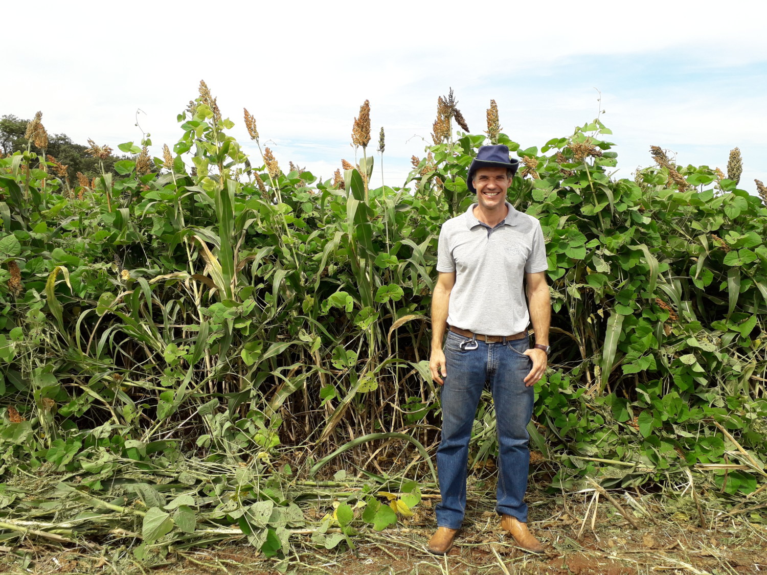 Pecuarista-Fábio-Magnani-em-frente-a-plantação-de-sorgo-com-lablab