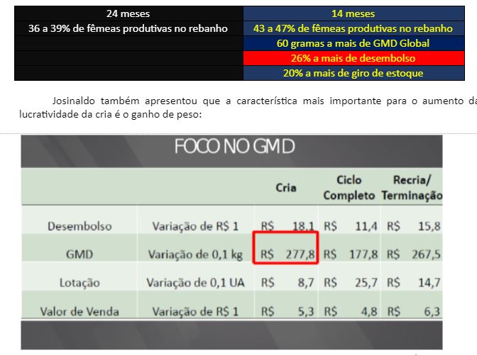 Por-que-emprenhar-novilhas-aos-14-meses-