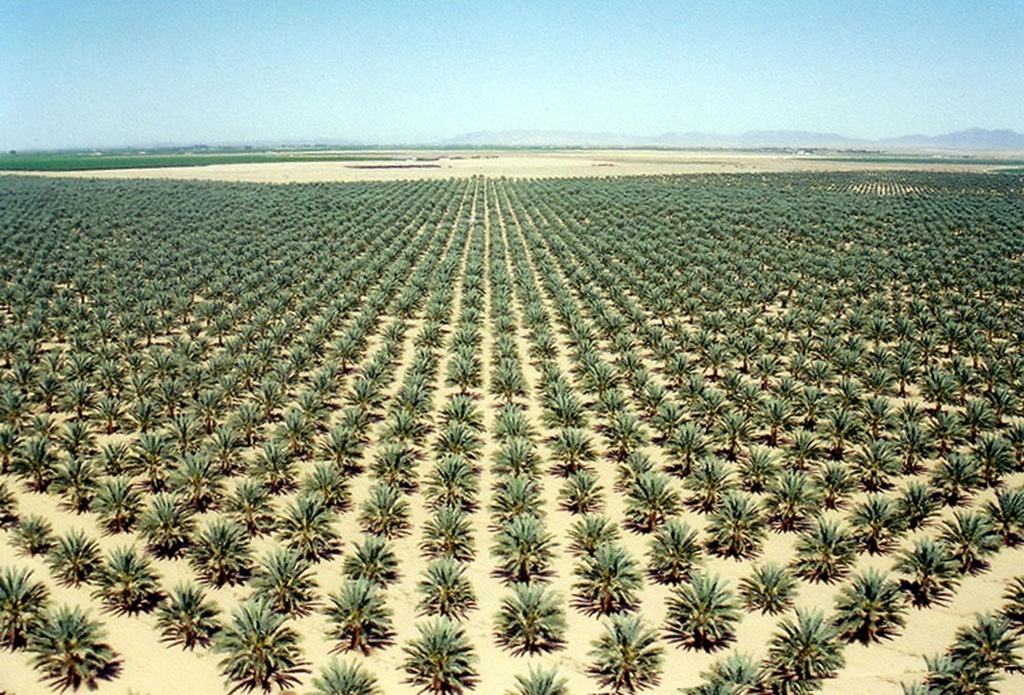 Produto-lançado-recupera-solos-desertificados-em-horas-1