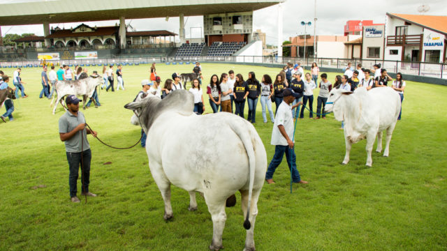 abcz-na-expozebu abcz-na-expozebu