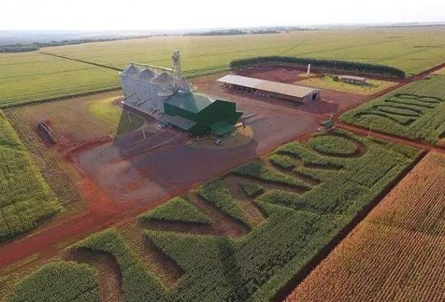 agricultor-homenageia-presidente-jair-bolsonaro