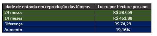 com-prenhez-aos-24-meses-e-o-outro-com-prenhez-aos-14-meses