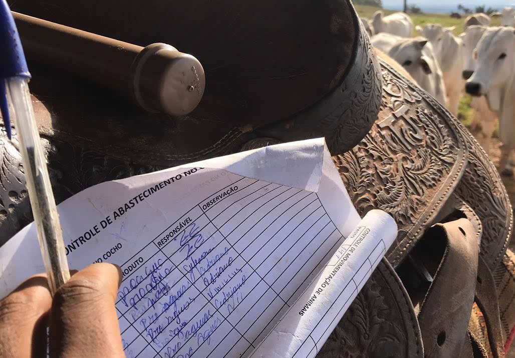 controle-de-dados-no-papel-gestão-pecuária-de-corte