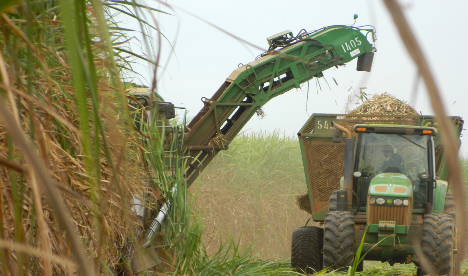 producao-agricola-em-sao-paulo