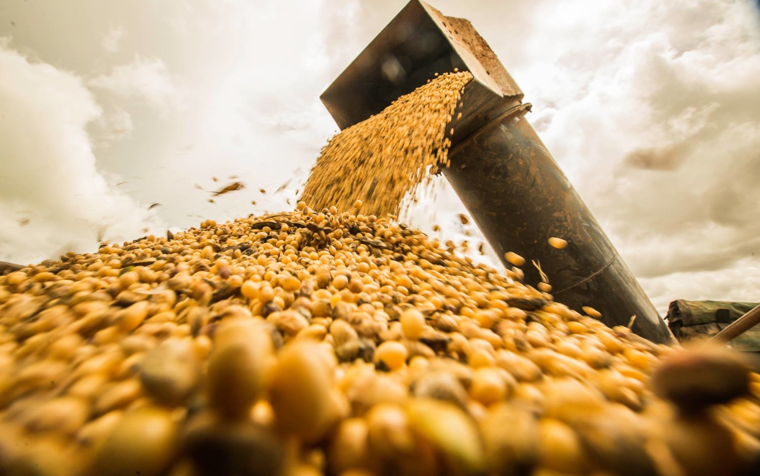 Menor estoque de soja no país em sete anos - Compre Rural