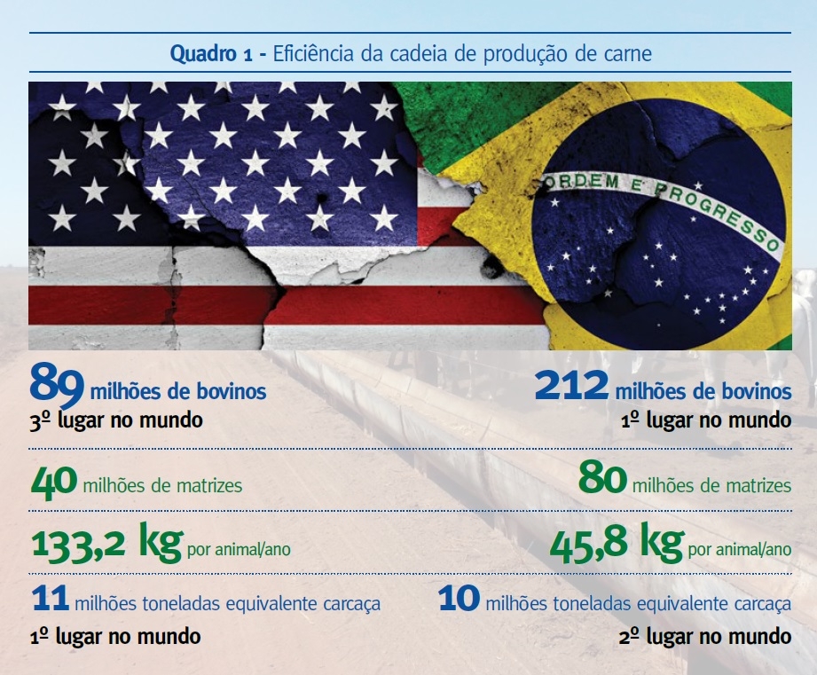 Eficiência da cadeia de produção de carne