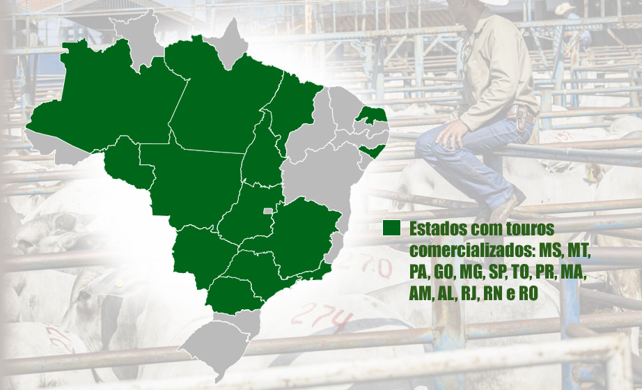 Agropecuária-CFM-vendeu-1.353-touros-em-2018-