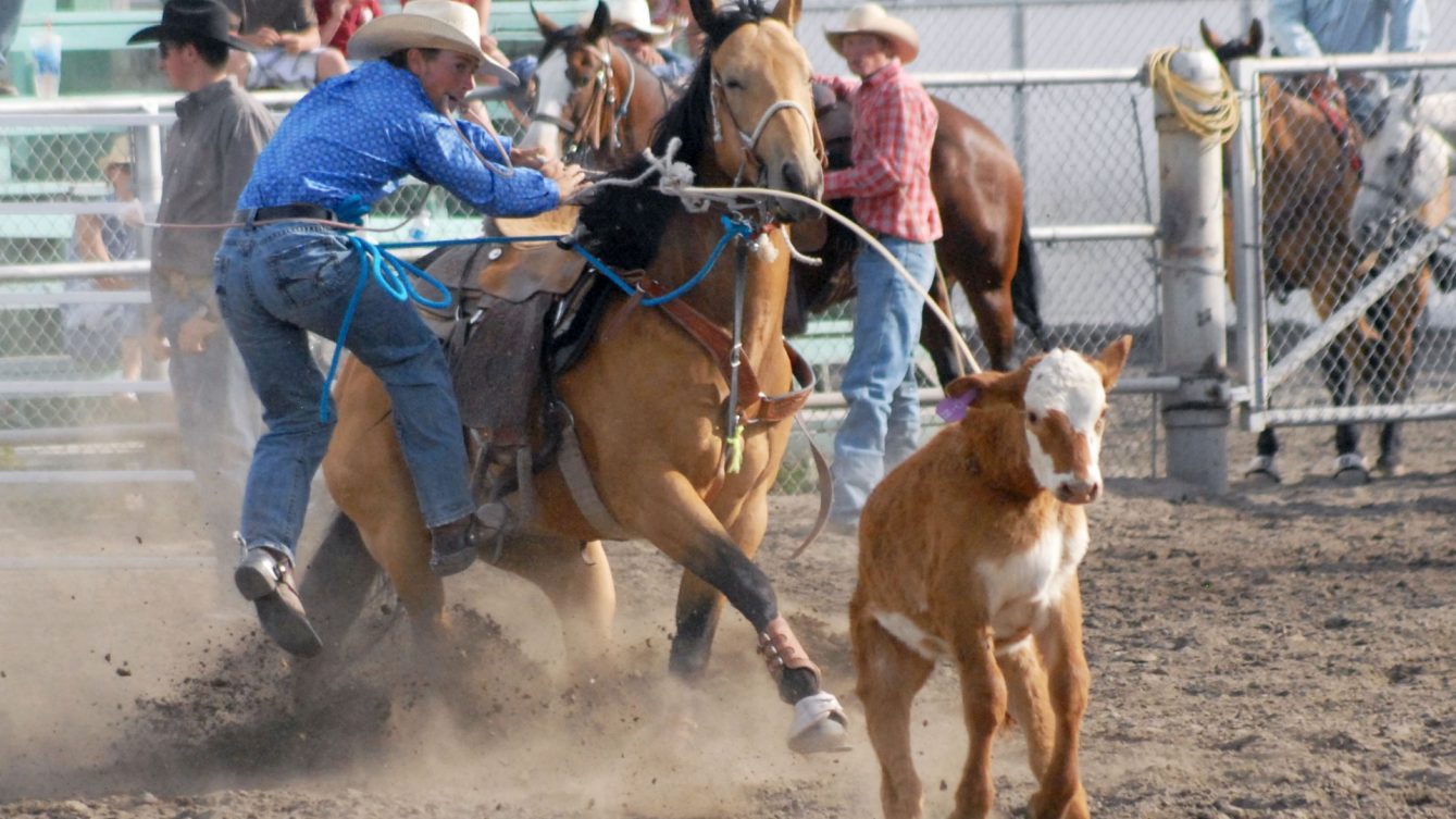 Sete cowboys superaram $1 Milhão / Foto: PRCA