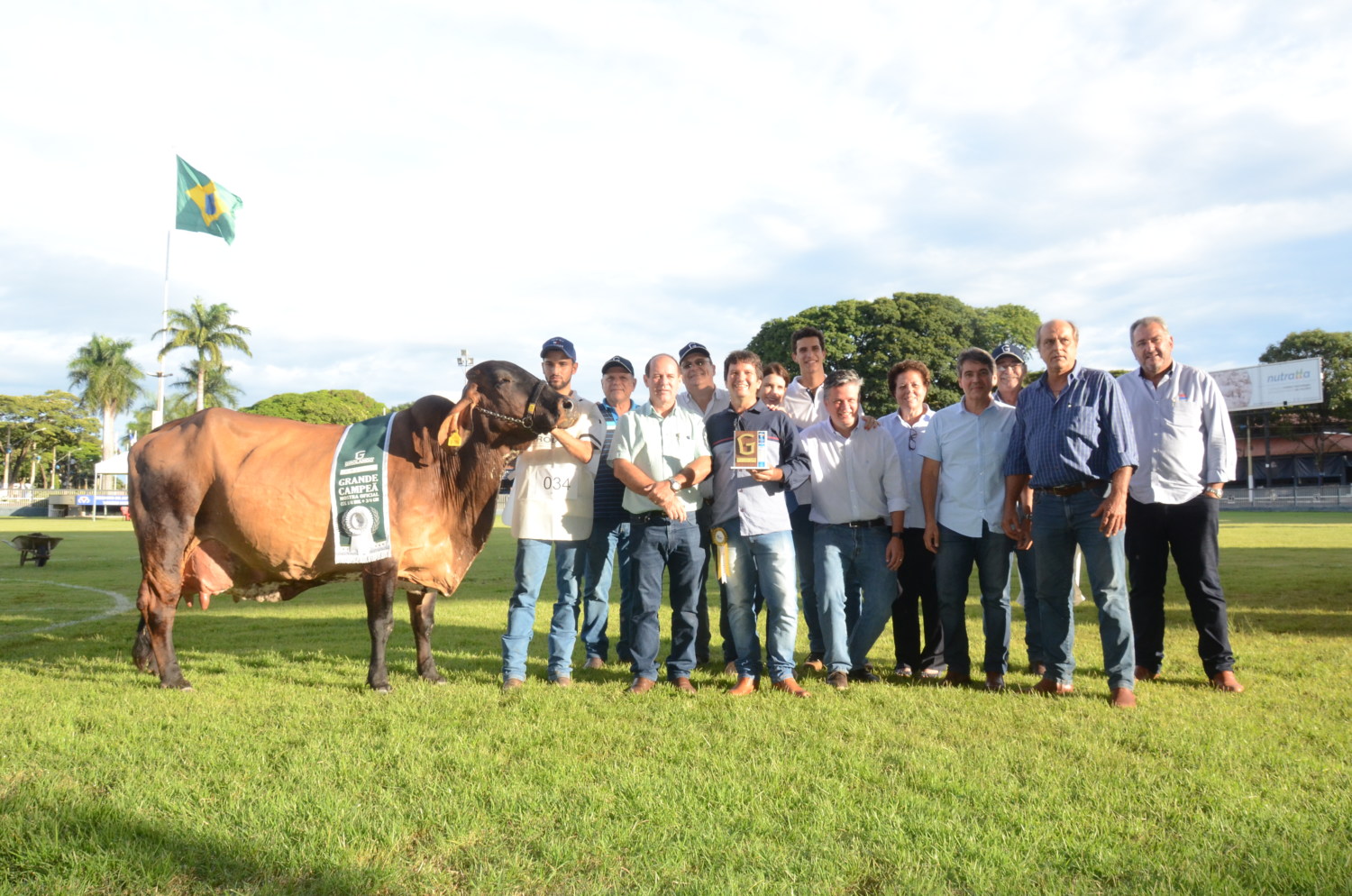 Grande-Campeã-Alícia-Radar-DLS-Pantanal-faz-história-na-raça-Girolando