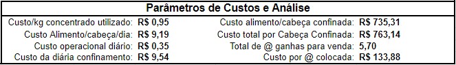 analise-detalhada-do-custo