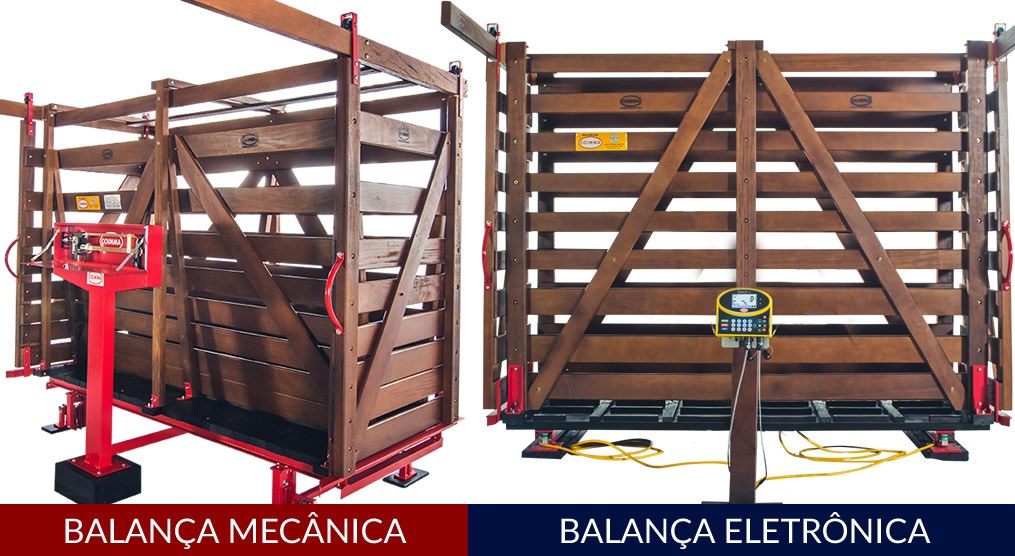 diferenca-balanca-mecanica-e-eletronica-para-gado