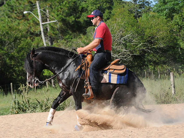 nfinito do Itapororó cavalo crioulo