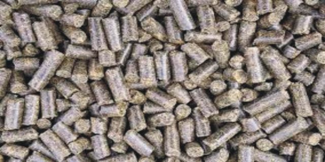 polpa-citrica polpa-citrica