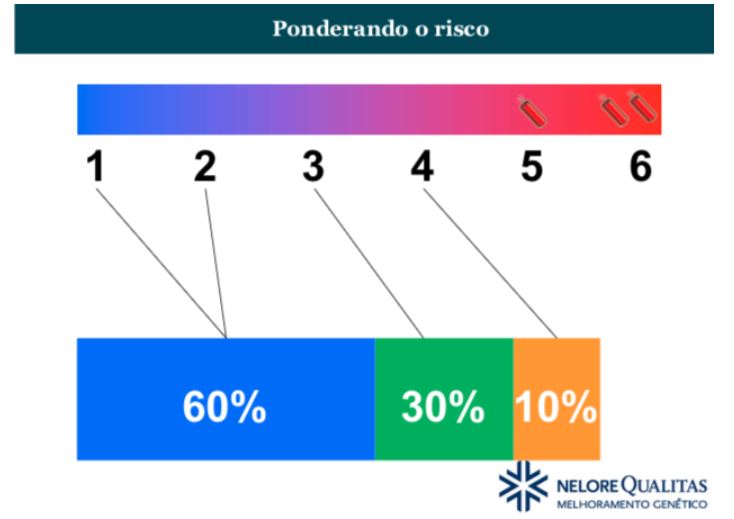 ponderamento-do-risco-qualitas-mga