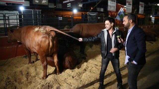 zeze-di-camargo-participa-de-evento-de-venda-de-touros-senepol-em-uberlandia zeze-di-camargo-participa-de-evento-de-venda-de-touros-senepol-em-uberlandia