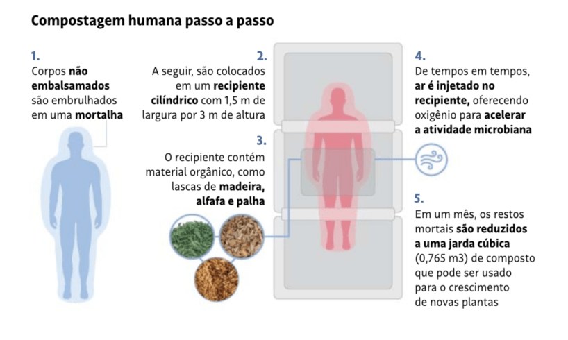 adubação com corpo