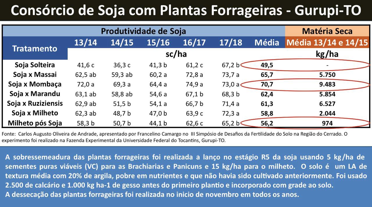 consobcioRsojaRcomRplantasRfobbageibas-jpg