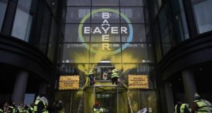 bayer