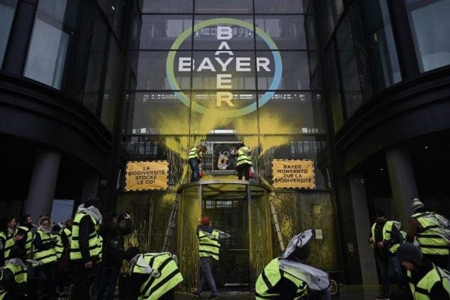 bayer bayer