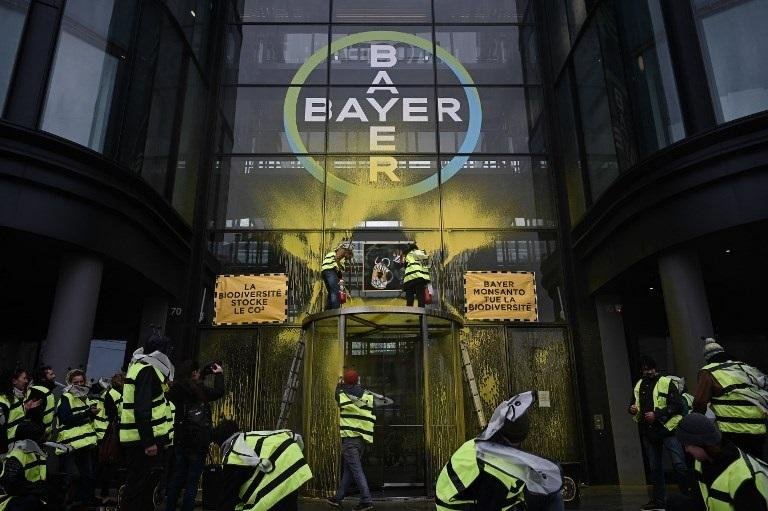 bayer