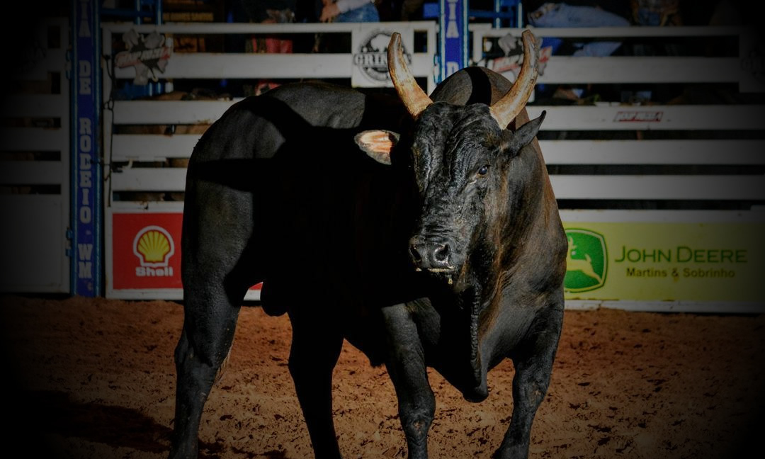 Rodeio de Colorado 2018 - FINAL EM TOUROS 