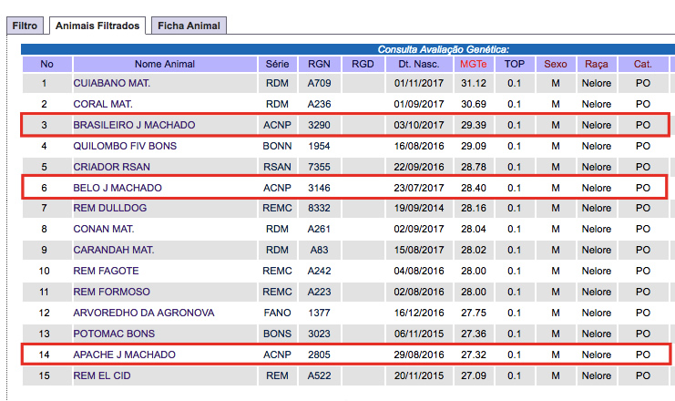 touros-da-j-machado-no-ranking-da-ancp