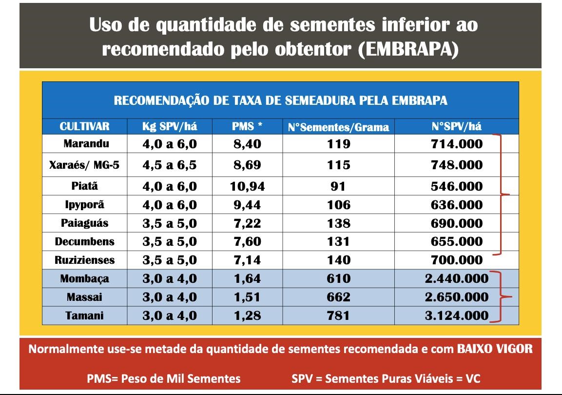 usoRdeRquantidadeRdeRsementes-jpg