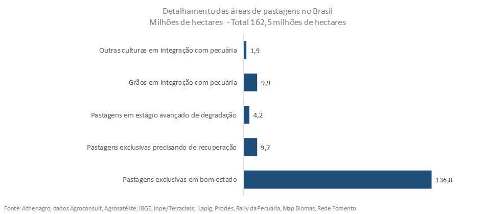 Detalhamento-das-áreas-de-pastagens-em-2018