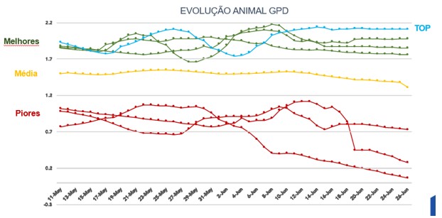 Evolução-do-GPD-dos-melhores-média-e-piores-animais-do-Confinamento-Santa-Fe