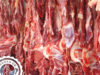 Manta_de_Petrolina_Embrapa_Semiarido
