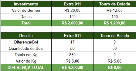 Touro-Extra-011-x-Touro-de-boiada